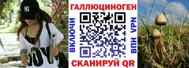 Псилоцибиновые грибы Magic Shrooms  Балтийск 